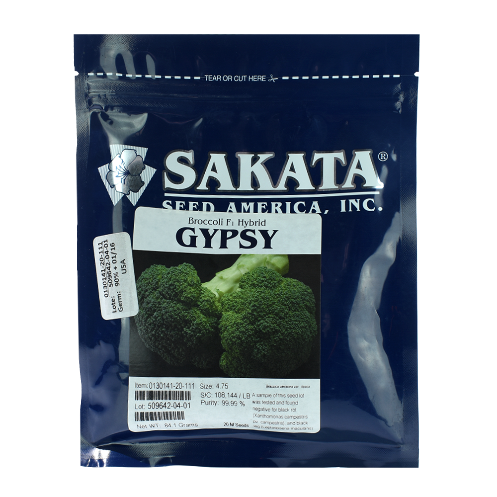 Brócoli Híbrido Gypsy Sakata